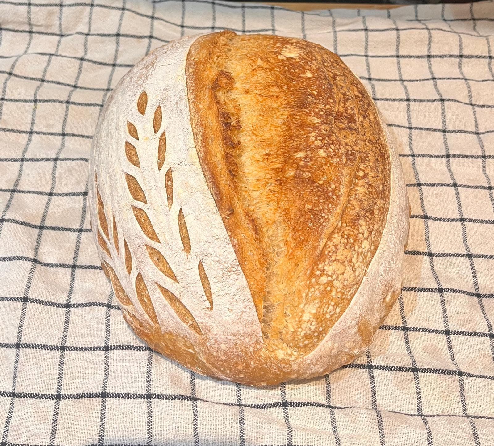 The Plain One